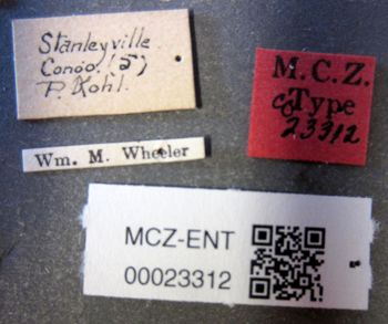 Media type: image;   Entomology 23312 Aspect: labels